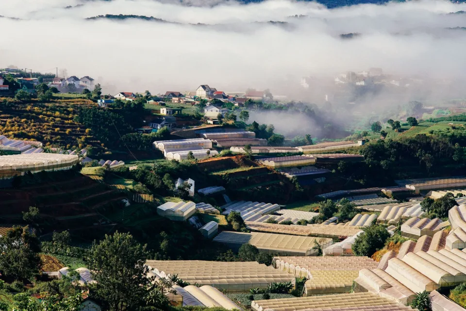 Luống rau mới xuống giống